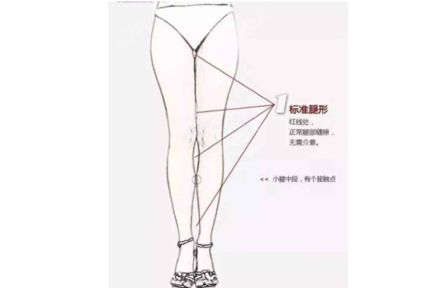 好看的腿部线条