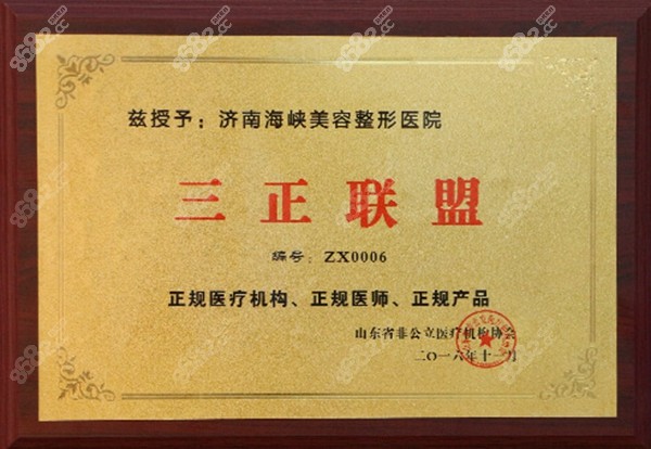 济南海峡三正联盟认证证书