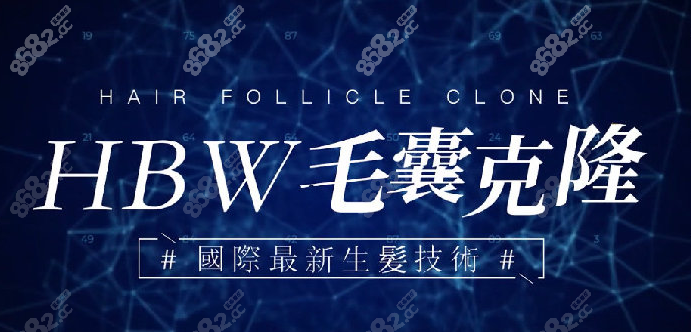 目前新颖的hbw毛囊克隆技术