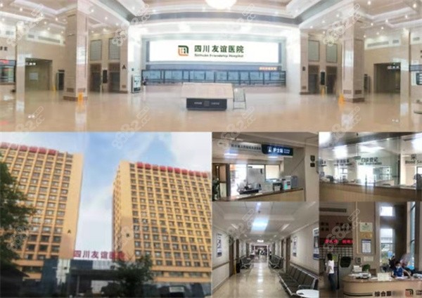 四川友谊