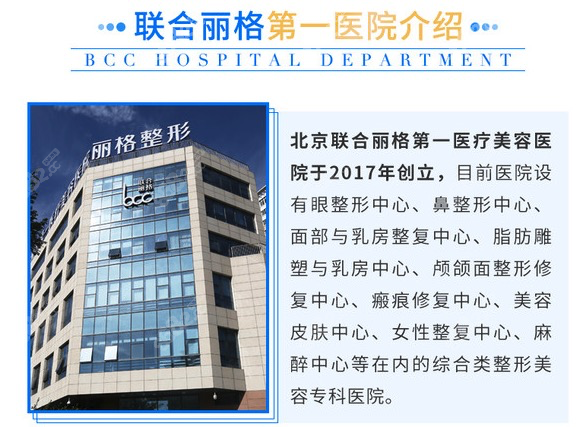 北京联合丽格简介