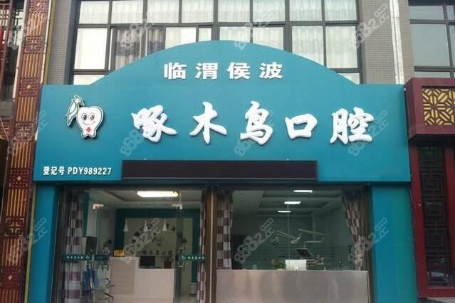 啄木鸟口腔