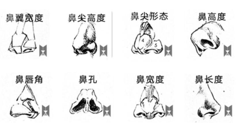 <!--<i data=20240705-sp></i>-->李建兵修复鼻技术特色