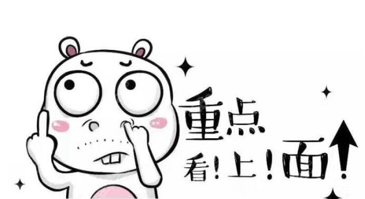 以上都是重点哈