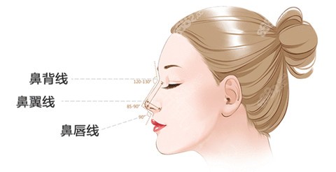 段焘医生做耳软骨鼻综合手术设计