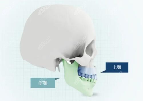 广州<!--<i data=20240705-sp></i>-->正颌手术
