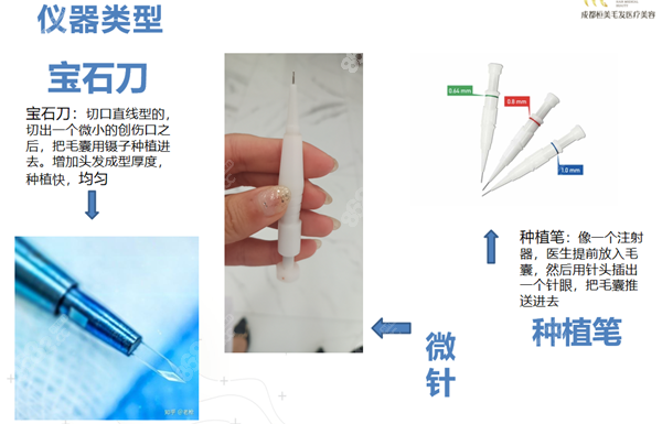 恒美联合种植技术单价