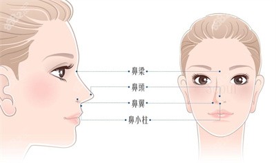 长沙整容鼻子需要多少钱