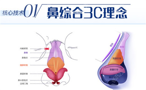 广州曙光蒋思军做鼻子好吗？