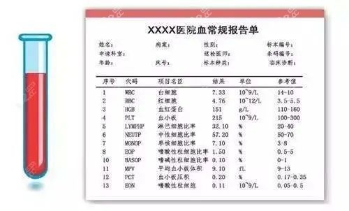 检查报告单