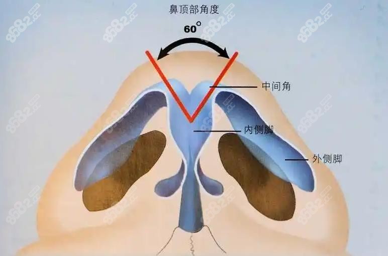 田秋梅做鼻子采用榫卯搭建技術(shù)