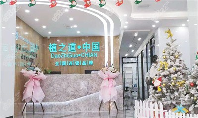 海口植之道口腔前台
