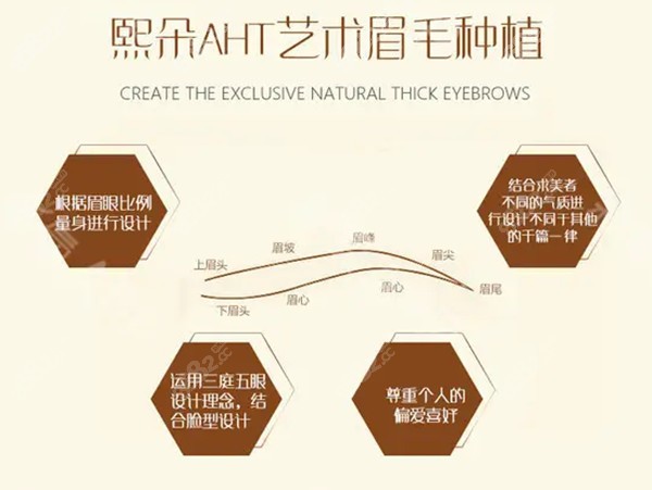 熙朵AHT艺术眉毛种植