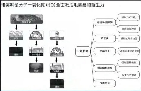 贝妮芙生发小黑瓶到底咋样