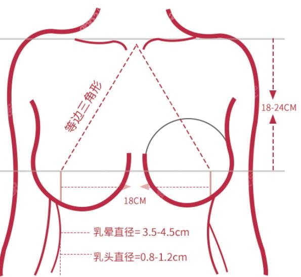 深圳曹孟君整形