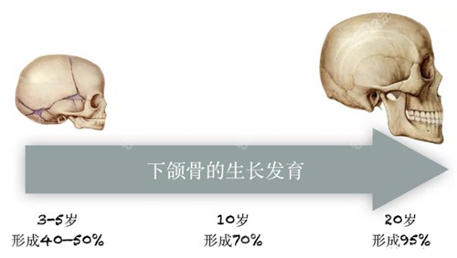 下颌骨的生长发育情况