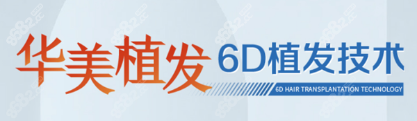 <!--<i data=20240705-sp></i>-->6D植发技术