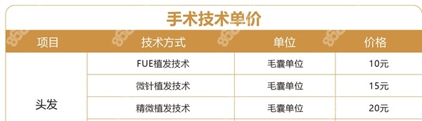 <!--<i data=20240705-sp></i>-->毛发移植单价