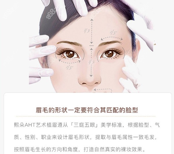 眉型设计