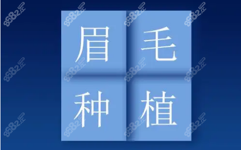 碧莲盛眉毛种植多少钱呢
