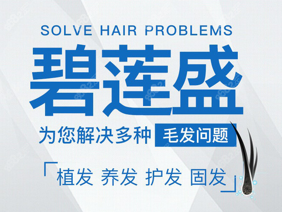 碧莲盛种眉毛多少钱