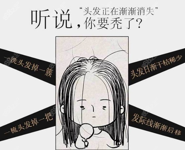出现这种情况可以选择植发呦