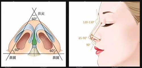 王英勇全肋鼻修复技术