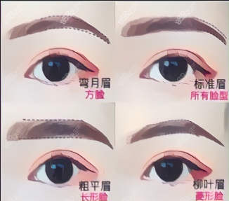 生态眉毛种植需要多少钱