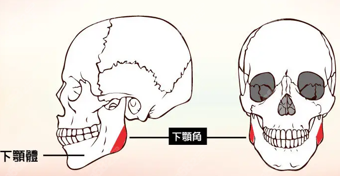 上海磨骨医生排名前十