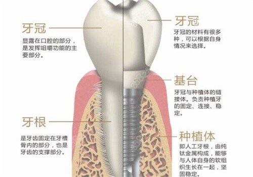 兰州德尔牙科