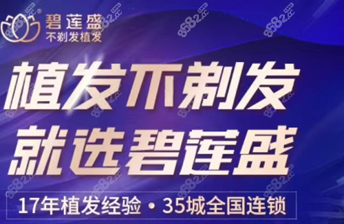 碧莲盛植发价格表