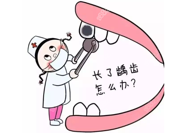 上海医院牙科收费价目表2025版