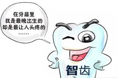 <!--<i data=20240705-sp></i>-->拔智齿价格