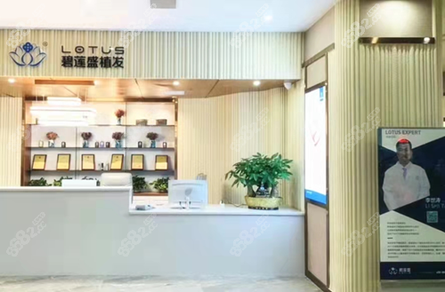 碧莲盛植发怎么样