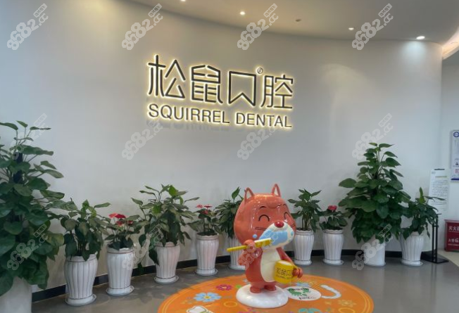 昆明松鼠口腔