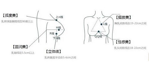 上海华美谢卫国隆胸美学设计标准