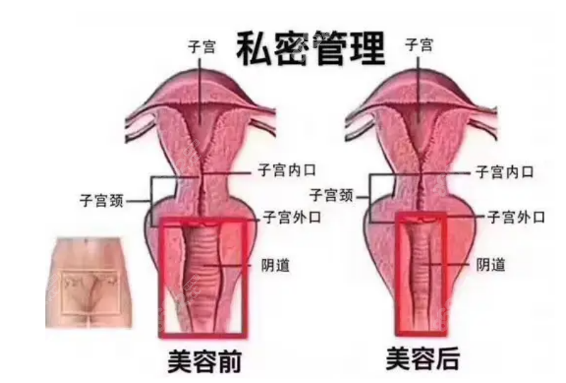 韩国好手艺