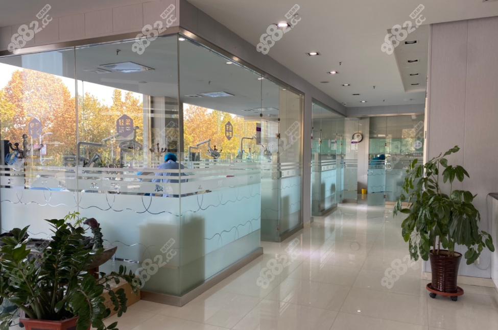 山東8682網(wǎng)@<!--<i data=20240705-sp></i>-->口腔透明的診室環(huán)境