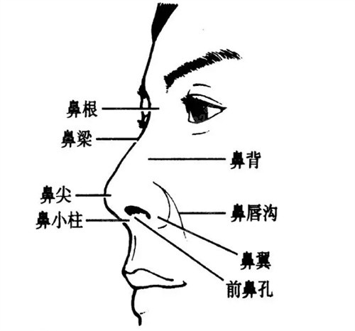 郑州鼻子整形比较好的医生推荐