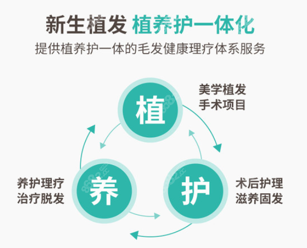 杭州<!--<i data=20240705-sp></i>-->植发多少一个单位？10-120元起一个单位