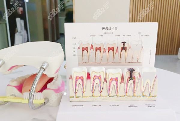 温州牙科医院收费标准