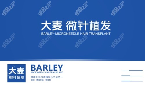 大麦微针植发