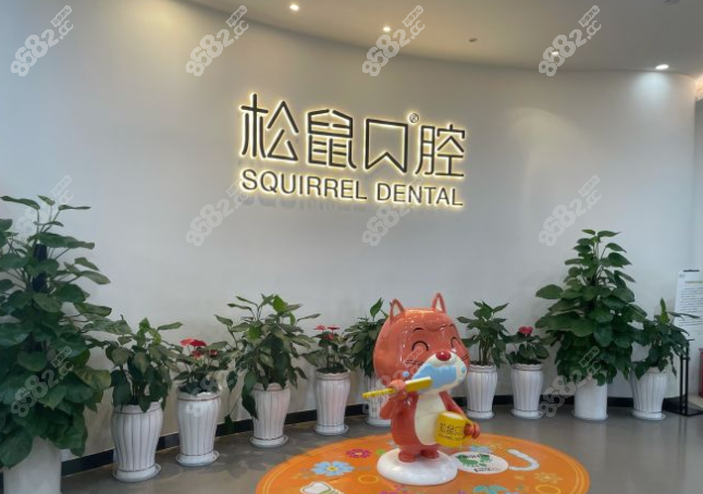 昆明松鼠口腔