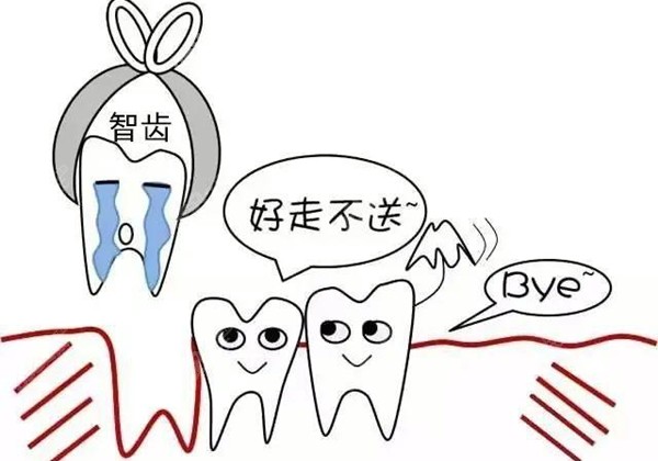 智齿和普通牙齿的关系