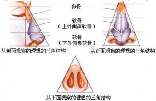 刘彦军做鼻子什么风格？