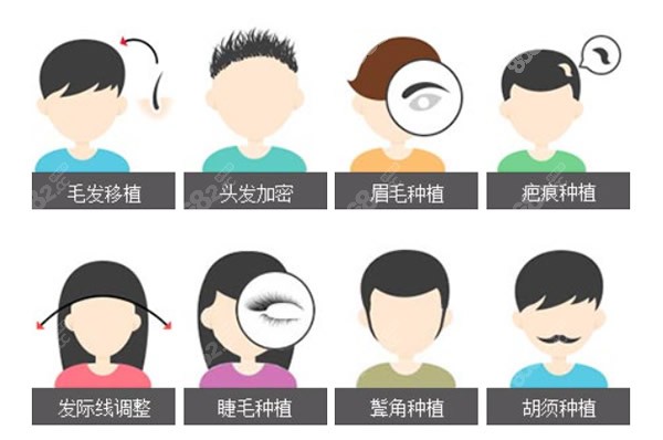 合肥源森植发项目有哪些