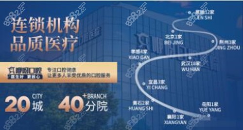 <!--<i data=20240705-sp></i>-->口腔的规模