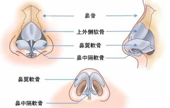 上海伯思立<!--<i data=20240705-sp></i>-->鼻修复技术不错