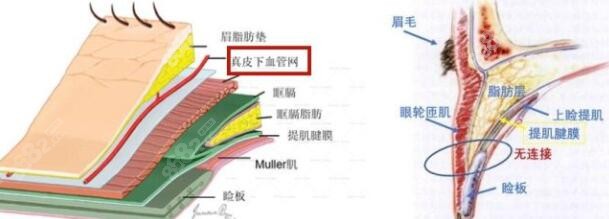 北京刘风卓修复双眼皮