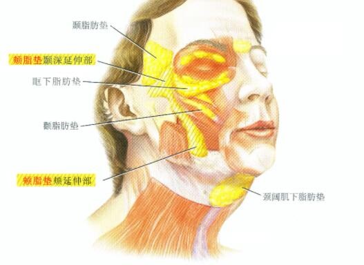 韩国清潭First提升术的优势